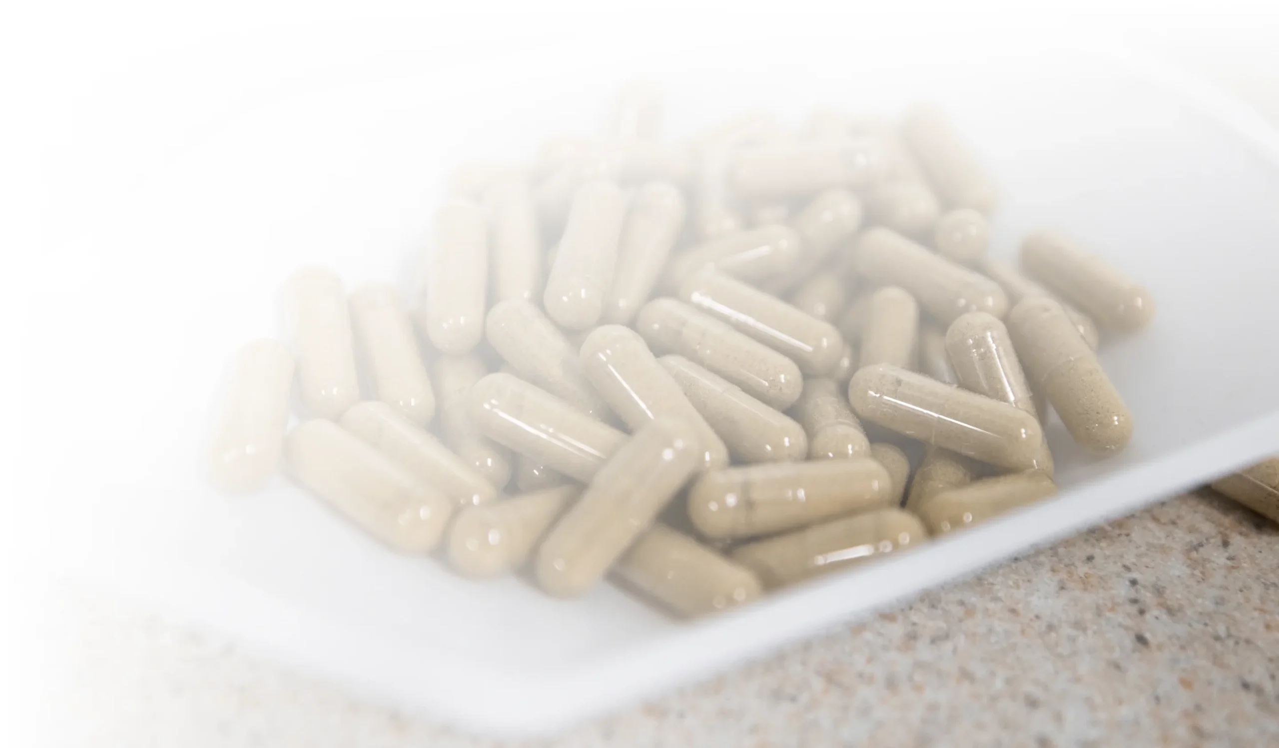 dietary capsule manufacturing 3 scaled