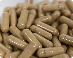 dietary capsule manufacturing 1
