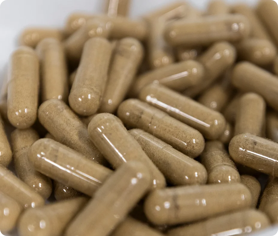 dietary capsule manufacturing